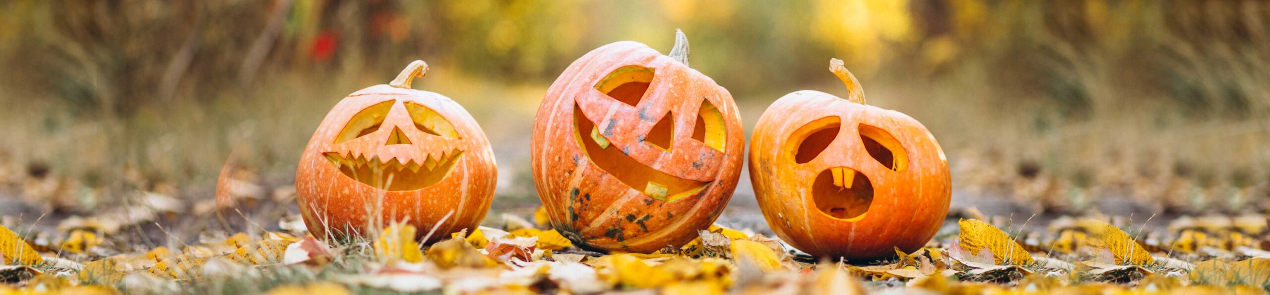 Halloween-desktop-BGG-scaled
